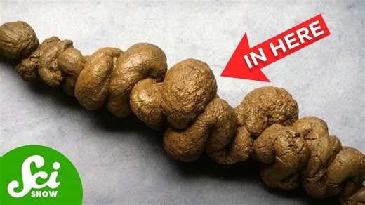 We keep finding fossils in very weird places