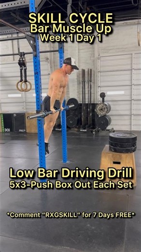 SKILLS CYCLE PREVIEW | Check Description For Info