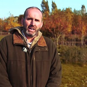 1.9K views · 126 reactions | Phil from Leicestershire has planted 65,000 trees on his poultry farm since 2010, counterbalancing the emissions he produces  A perfect example of how British farmers are working in harmony with the environment  #BackBritishFarming ‍ #COP26 | Back British Farming NFU | Facebook
