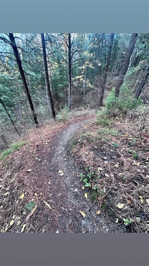 20 reactions | Bonner Milltown History Center on Reels | Facebook