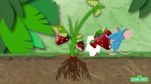 Sesame Street- Strawberry Mouse