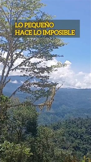 Lo pequeño hace lo imposible: mira esto😲