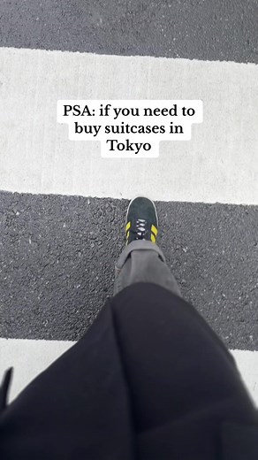 Affordable and Quality Suitcases at Ginza Karen | Tokyo Shopping