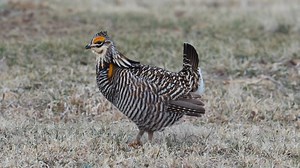 995K views · 27K reactions | Sound UP  When spring arrives, the...