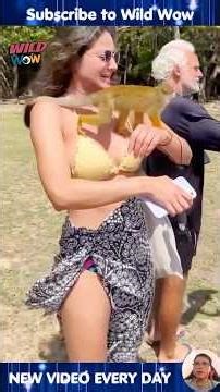 20 INCREDIBLE Animal Clips You CAN'T MISS! #animals #animalshorts #animalclips #nature #wildlife