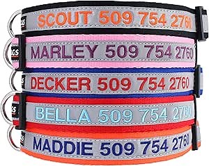 GoTags Reflective Personalized Dog Collar, Custom Embroidered with Pet Name and Phone Number in Orange for Boy and Girl Dogs, Adjustable Large