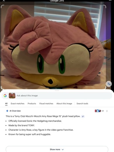 Using google lens for the first time