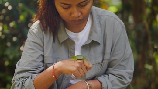 Meet the Chameleons of Madagascar | WHYY