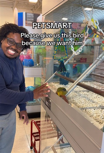 Urgent Appeal to Adopt This Green Cheek Conure