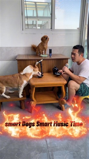 192K views · 9.7K reactions | Every time funny smart dog singing #hrfayez #StarsEverywhere #dogloversphilippines #support #stsrsender Vicky Soler Stewart | Hr Fayez | Facebook