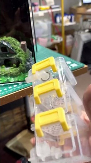 The smallest cylinder filter! Small in size but with the same principle! #koi #fish