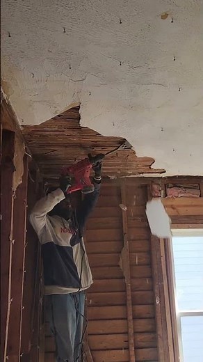 Plaster Ceilings Demolition