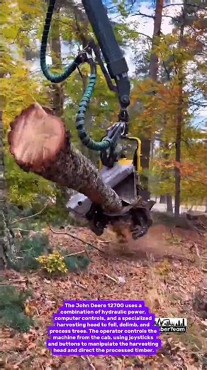 1270G - The Machine That Dominates Forestry! | Timber Harvesting