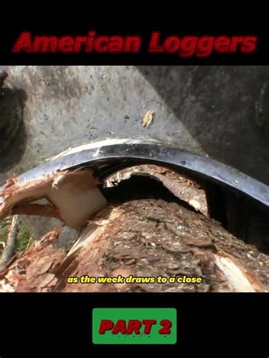 Exploring Logging Life with Heavy Machinery