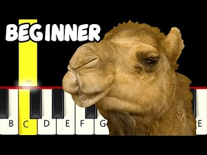 Walk Like a Camel - Fast and Slow (Easy) Piano Tutorial - Beginner