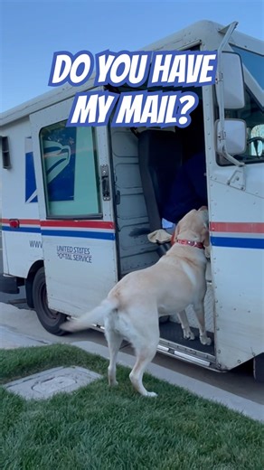 USPS Didn’t Warn Her About This Stop…
