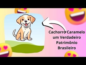 Cachorro Caramelo é Um Verdadeiro Patrimônio Brasileiro
