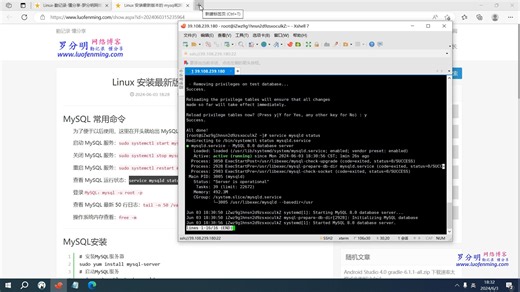 Linux 安装最新版本的 mysql