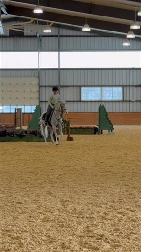 Alan was awesome today in schooling at Mcdonogh! #equestrian