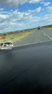 308 reactions · 18 shares | Nazo Babe is going to die young and become a young ghost because of "Show them babe, overtake, undertake babe" | King Ben Bkay Kekana | Facebook