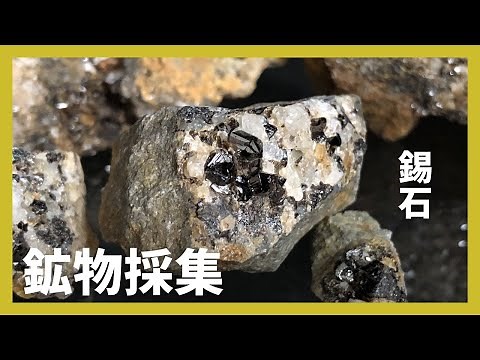【鉱物採集】小粒ながら黒く光沢の有る錫石結晶【CASSITERITE 2022 No.1】