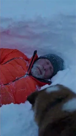 Dog Stops Delivery Driver and Saves a Man #rescue #heartwarming