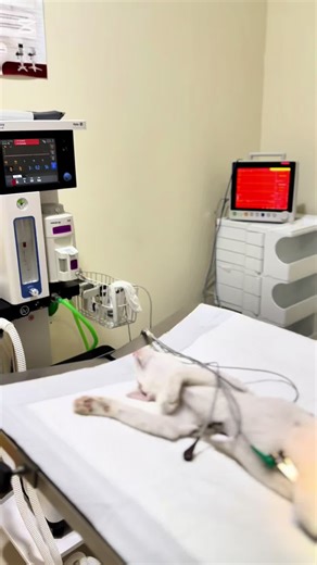 ‏Best price in doha