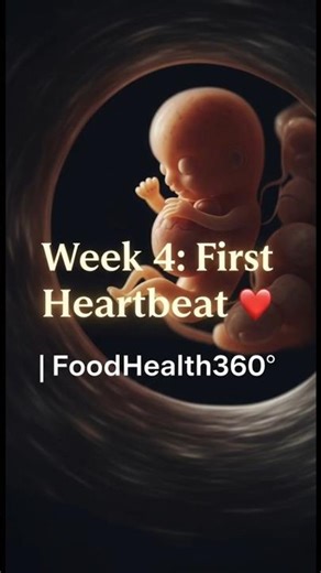 Miracle 💓 Week 4 After Fertilization in 3D | The First Heartbeat Begins 💓 #shorts