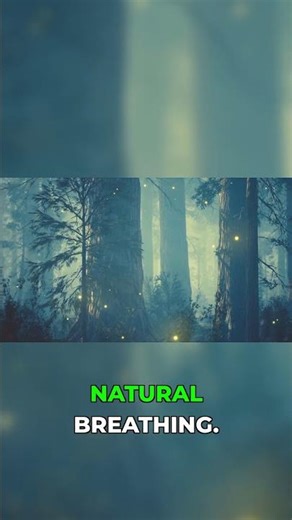 Body scan breathing for deep relaxation #guidedmeditation #sleep