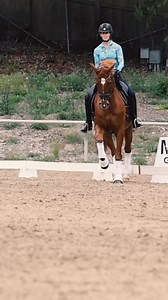 ✈️ Flying Changes are so much fun to ride! But it’s not always that easy to teach your horse to give you a clean flying changes on the aids. 🥵 This is why I’m hosting a FREE Webinar all about the flying changes this weekend. 🎉👇 If you...😡Can’t get a clean change 😕Don’t know where to start teaching the changes❓Don’t know how to ask for a flying change 🏇Your horse has no idea how to do a change. Then this webinar will help you! 💯 Inside my Free Flying Changes Webinar, I will be going throug
