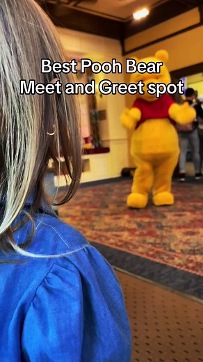 Best Winnie the Pooh Meet and Greet Spot in Disney World
