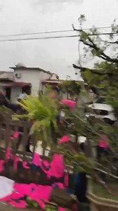 2.3M views · 16K reactions | Buồn quá cả nhà凉凉凉 Nghĩa hưng Hải Hậu Cũ Thiệt Hại quá凉 Nguồn:xuân Trường Quê Tôi | Ngô Minh Xuân | Facebook