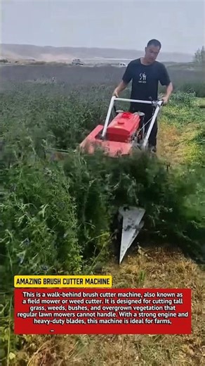 Amazing Brush Cutter Machine | Powerful Weed Cutting Equipment in Action.