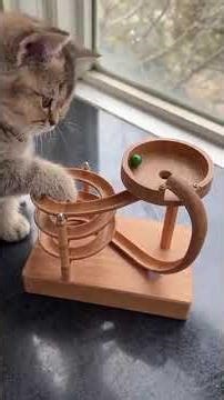 Cat vs. The Infernal Machine! Hilarious Cat Toy!