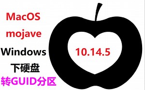 windows下硬盘转换guid分区