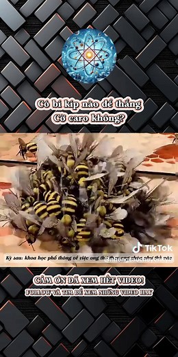 Hướng Dẫn Cách Chơi Cờ Caro Đỉnh Cao