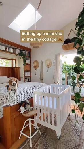 Whitney Leigh Morris on TikTok