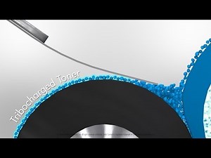 The Developer Roller and Doctor Blade Working Together