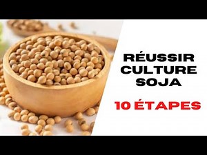 Comment Réussir la Culture du Soja en Afrique