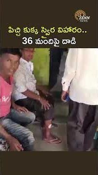 💬 Rabid Dog on Rampage… Attacks 36 People