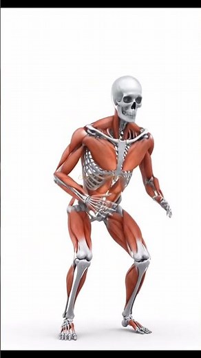 Exercise #ExerciseScience #MuscleActivation #3DAnimation #FitnessEducation #HealthyMovement