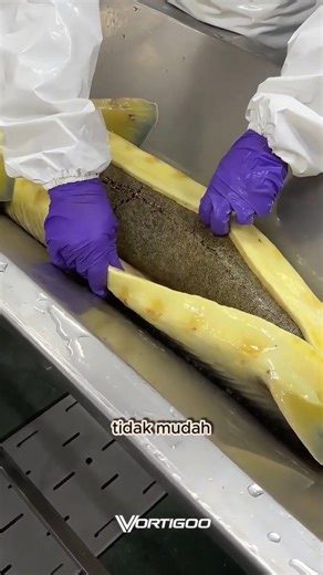 This Ancient Fish Produces Expensive Superfood 🤯 | Sturgeon