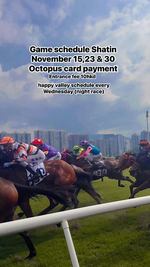 Hong Kong Jockey Club Horse Race SHATIN | Carrot in Neverland
