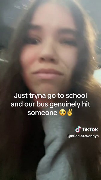 Bus Mishap: A Hilarious School Journey Gone Wrong