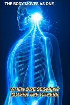 Kinetic Chain Explained#KineticChain#HumanAnatomy#Biomechanics#SportsScience#MuscleActivation#Joint