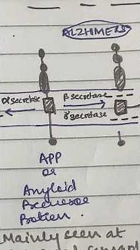 alzhimers 100% conceptual pathophysiology explained
