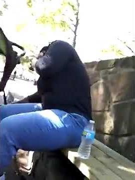 Reupload From My Old Channel