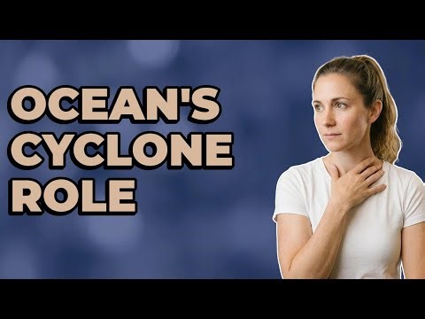 What Role Does Deep Warm Ocean Water Play In Cyclogenesis?