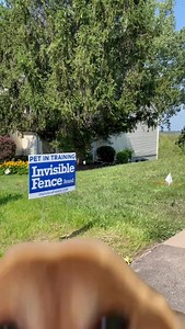 4.4K views · 44 reactions | Ask us about our training! ✨ | Invisible Fence Brand | Facebook