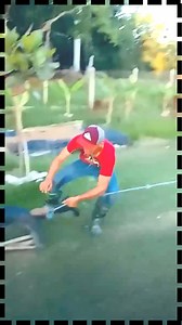 📣Cuando no hay perros, se montea con gatos. 🏆Las manos no se le ven a este joven Vaquero. #elmaspurorodeocubano #rodeocubano #seguimostraslahistoria #rodeo #horses #caballos #highschoolsports #yellowstone #NASA #fblifestyle | El Mas Puro Rodeo Cubano